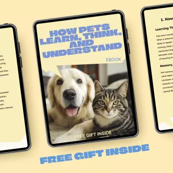 Positive Punishment in Dog Training: A Clear Example
